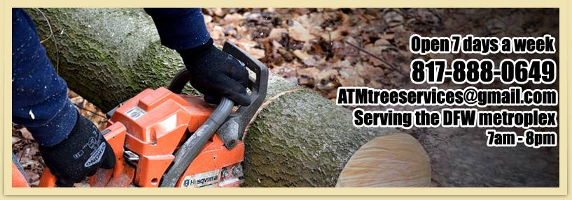 ATM Tree Services | 6605 Circleview Ct, Fort Worth, TX 76180, USA | Phone: (817) 888-0649