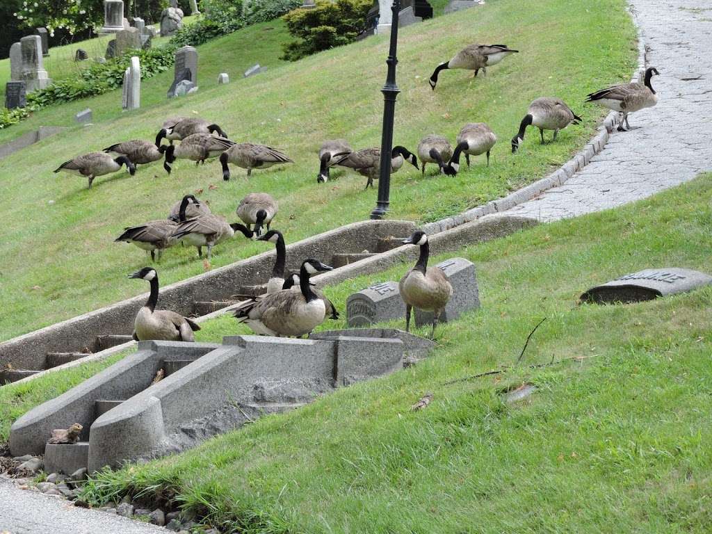 Green-Wood Cemetery | 500 25th St, Brooklyn, NY 11232, USA | Phone: (718) 768-7300