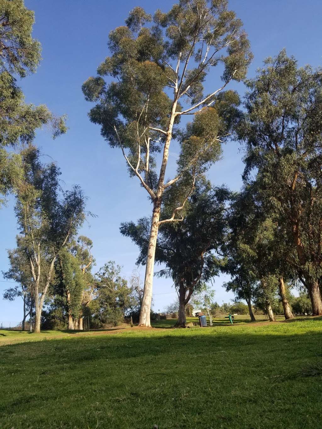 Eucalyptus County Park | 9125 Edgewood Dr, La Mesa, CA 91941, USA | Phone: (858) 565-3600