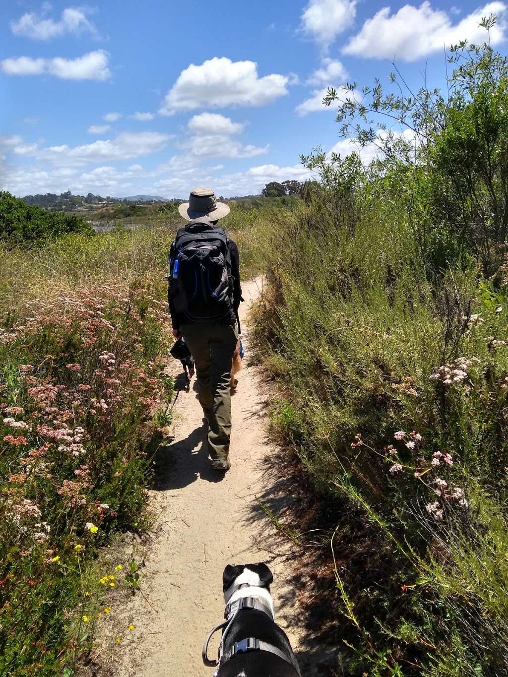 La Orilla Trailhead | 16398 El Camino Real, Rancho Santa Fe, CA 92091, USA