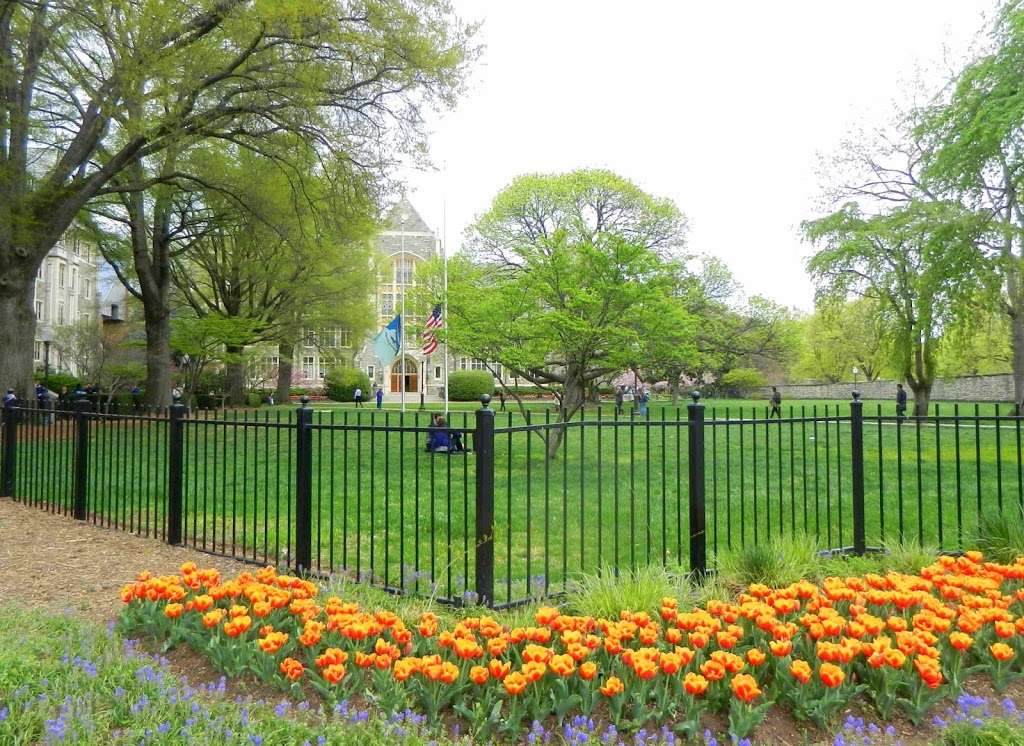 Copley Lawn | Washington, DC 20007, USA