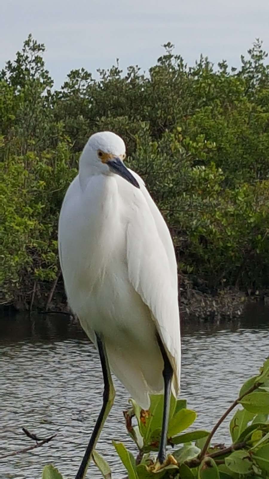 Swoop Site Boat Ramp | 2455 Boat Ramp Dr, New Smyrna Beach, FL 32168, USA | Phone: (386) 424-2175