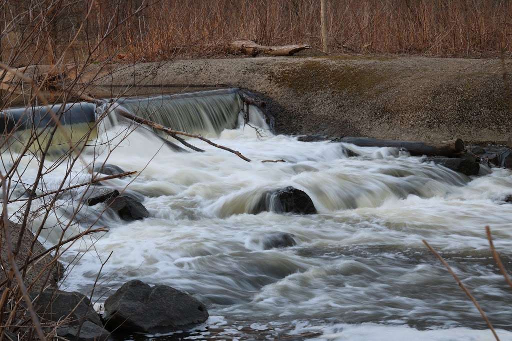 Glen Rock Duck Pond | 658 County Rte S79, Glen Rock, NJ 07452, USA