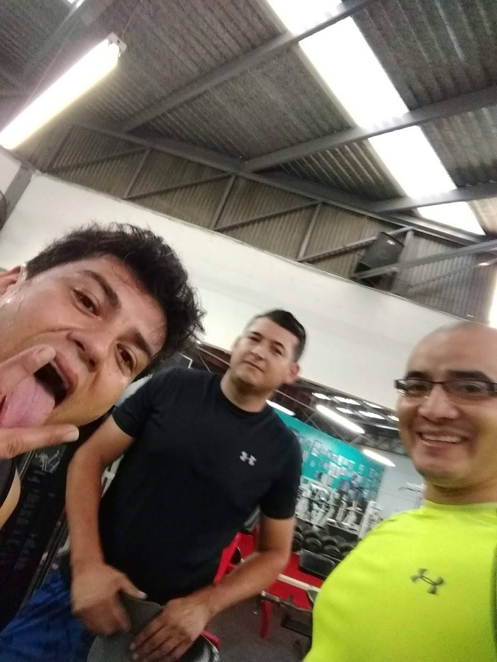 Tamayos GYM | Local 4, Plaza LA PRESA, Blvd. Diaz Ordaz 16, Lomas de la Presa, 22124 Tijuana, B.C., Mexico | Phone: 664 317 2505