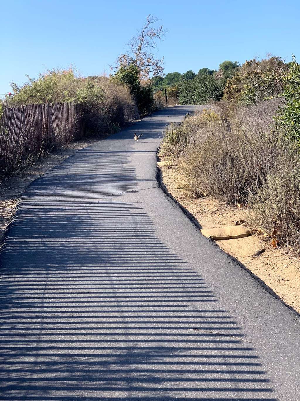 Los Trancos Parking Lot | Unnamed Road, Newport Coast, CA 92657, USA