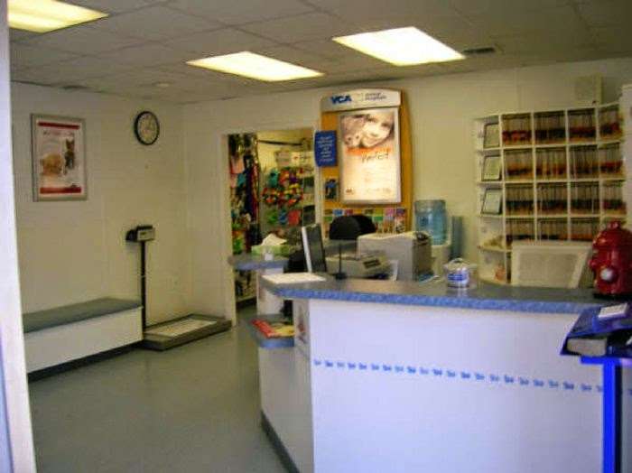 Rosebank Animal Hospital | 1230 Bay St, Staten Island, NY 10305, USA | Phone: (718) 273-9800