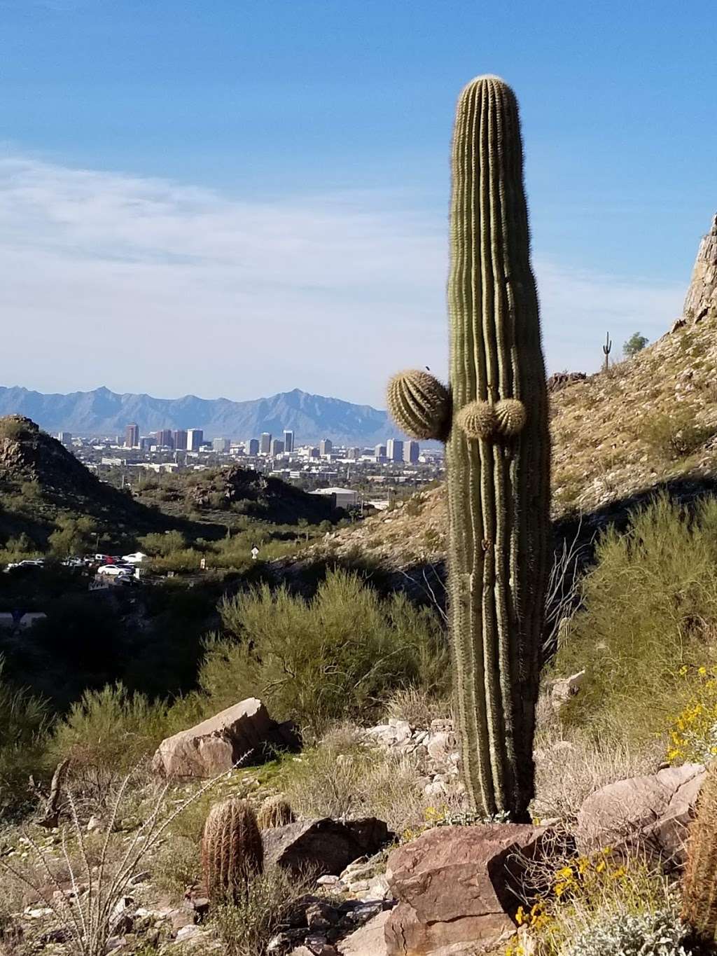 Piestewa Peak Trails | 7200, 7232 N Squaw Peak Dr, Phoenix, AZ 85016, USA | Phone: (602) 495-5458