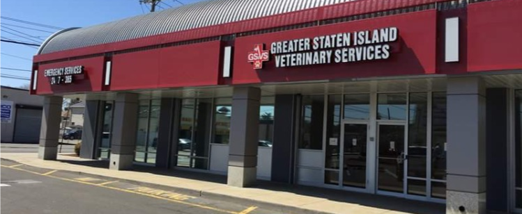 Greater Staten Island Veterinary Services | 3135 Victory Blvd, Staten Island, NY 10314, USA | Phone: (917) 830-1380