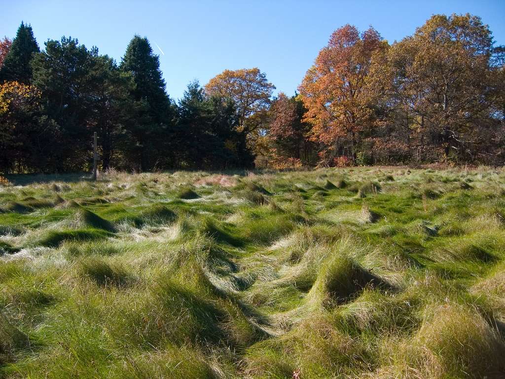 Mass Audubons Habitat Education Center and Wildlife Sanctuary | 10 Juniper Rd, Belmont, MA 02478, USA | Phone: (617) 489-5050