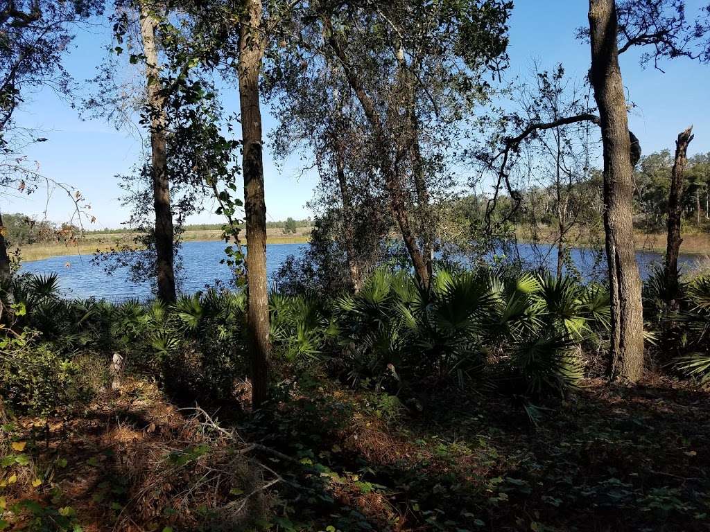 Lake May Reserve | 36300 County Rd 44A, Eustis, FL 32736, USA | Phone: (352) 253-4950