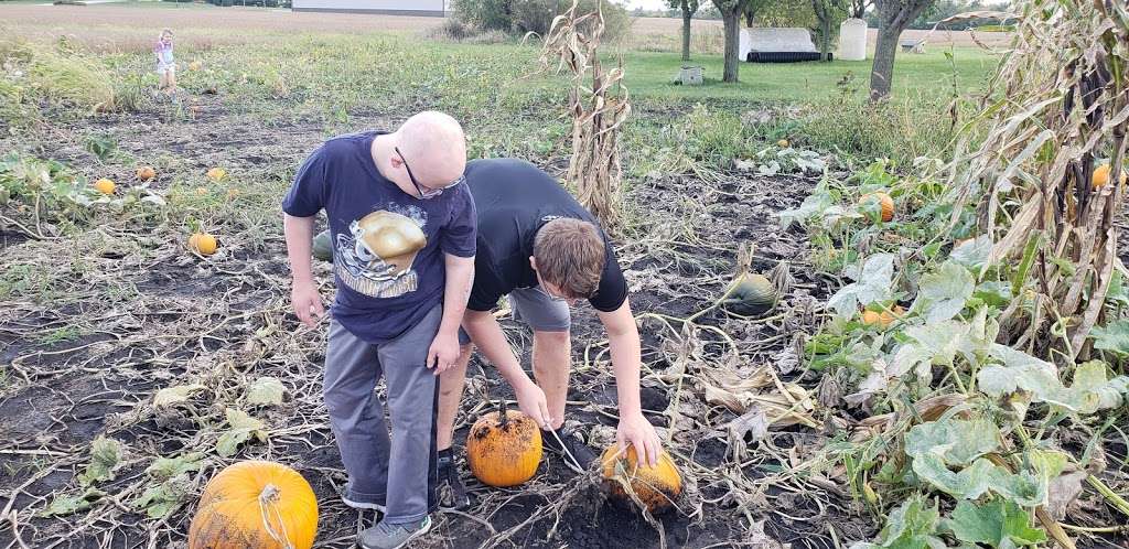 Tom’s and Zach’s Pumkin Patch | 15725 W Bruce Rd, Lockport, IL 60441, USA