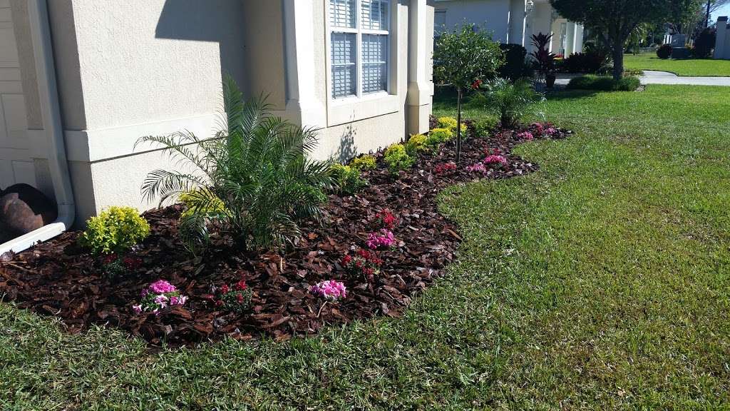 Muse Landscapes | 3902 Timberwood Dr, Lakeland, FL 33811, USA | Phone: (863) 660-6223