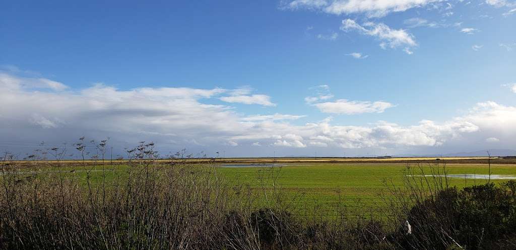 Tubbs Island Trailhead | Sonoma, CA 95476, USA | Phone: (510) 622-2413