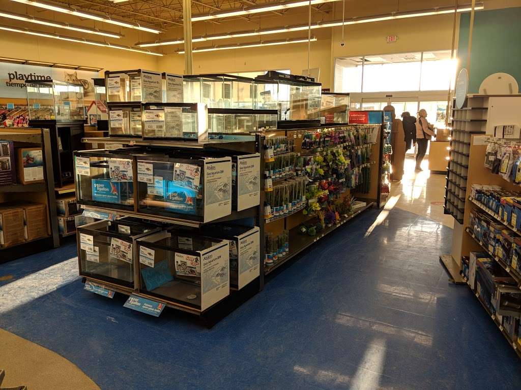 Petco Animal Supplies | 4161 N Harlem Ave, Norridge, IL 60706, USA | Phone: (708) 457-8603