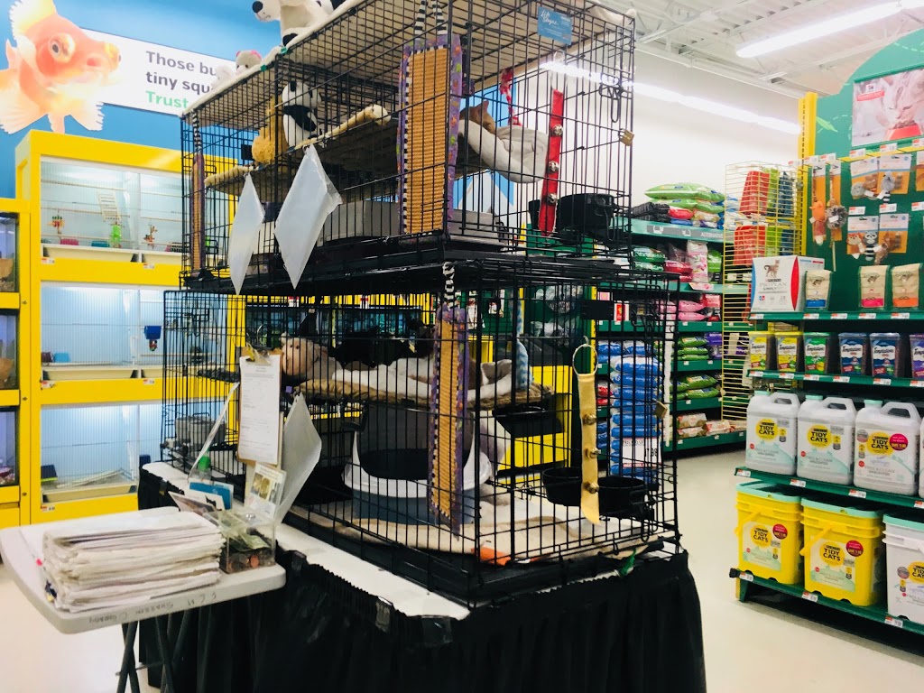 Pet Supplies Plus | 4923 Sheridan St, Hollywood, FL 33021, USA | Phone: (954) 985-3400