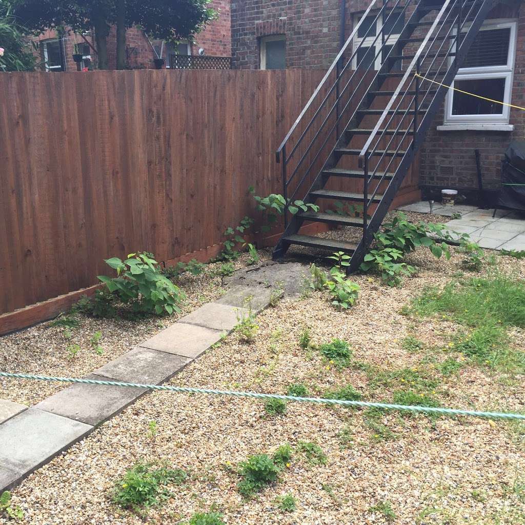 Japanese Knotweed Group | Rose Cottage, Birchwood Lane, Chaldon, Caterham CR3 5DQ, UK | Phone: 01883 336602