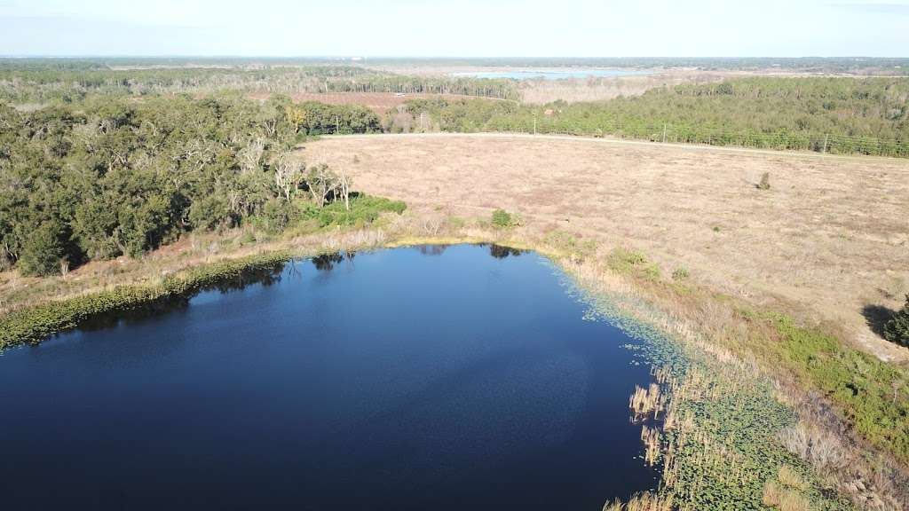 Lake May Reserve | 36300 County Rd 44A, Eustis, FL 32736, USA | Phone: (352) 253-4950