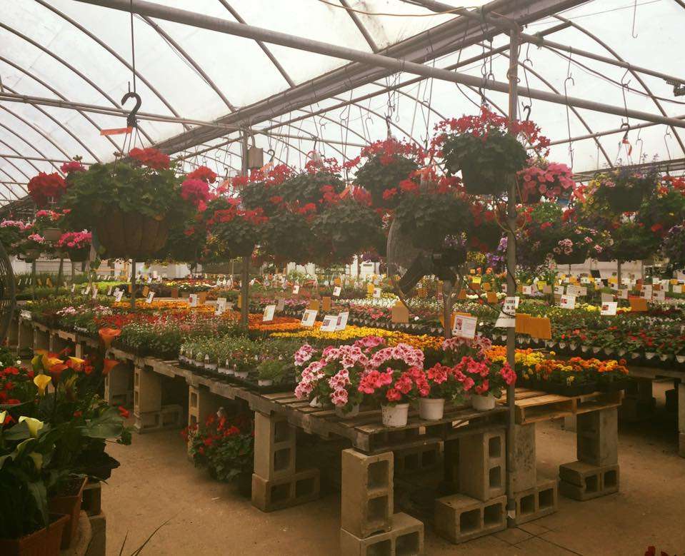 Brock Farms Home & Garden World | 4189 U.S. 9, Freehold, NJ 07728, USA | Phone: (732) 462-2700