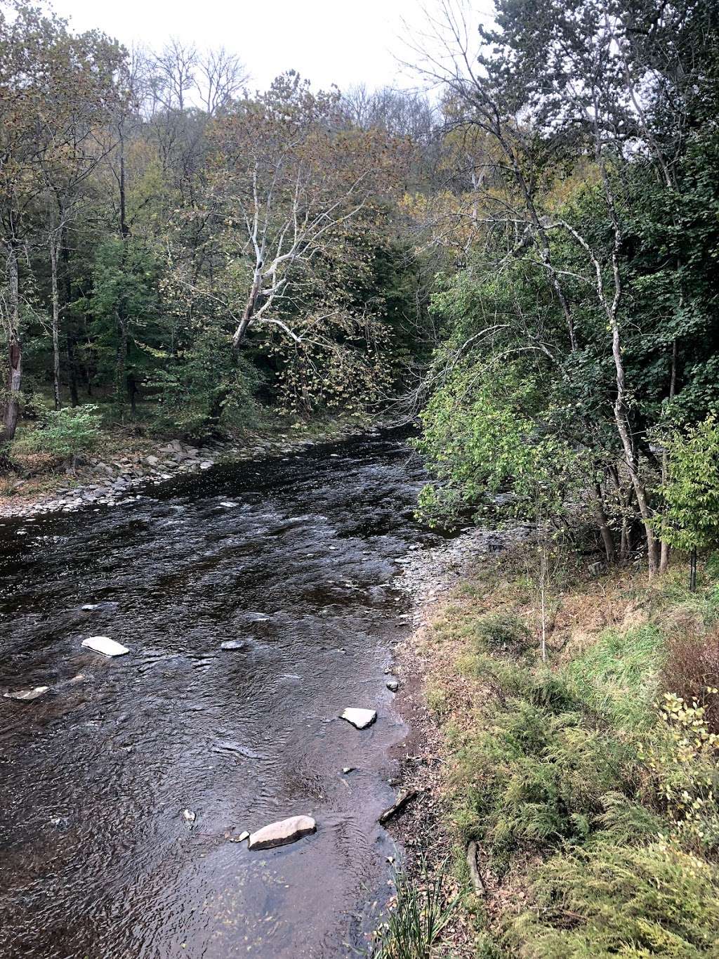 The Tohickon Creek At the Point Pleasant Bridge | River Rd, Pipersville, PA 18947, USA
