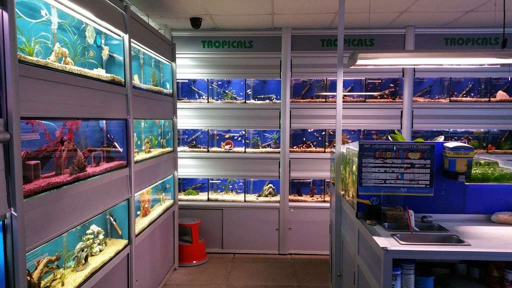 BRENTWOOD AQUATICS | Ongar Rd, Kelvedon Hatch, Brentwood CM15 0JX, UK | Phone: 01277 295488