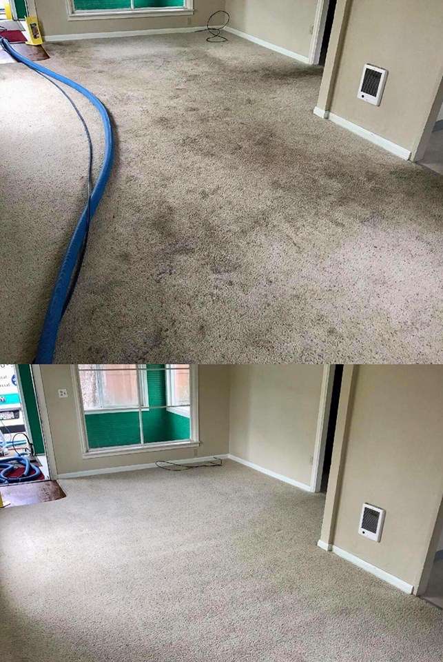 BabySoft Steam Carpet Cleaning and Tile | 550 Oak Dr, Lake Jackson, TX 77566, USA | Phone: (979) 480-1510