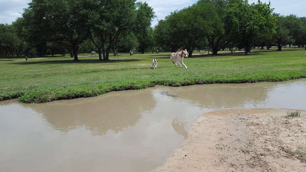 Congressman Bill Archer Dog Park | 3201 Hwy 6, Houston, TX 77084, USA | Phone: (281) 496-2177