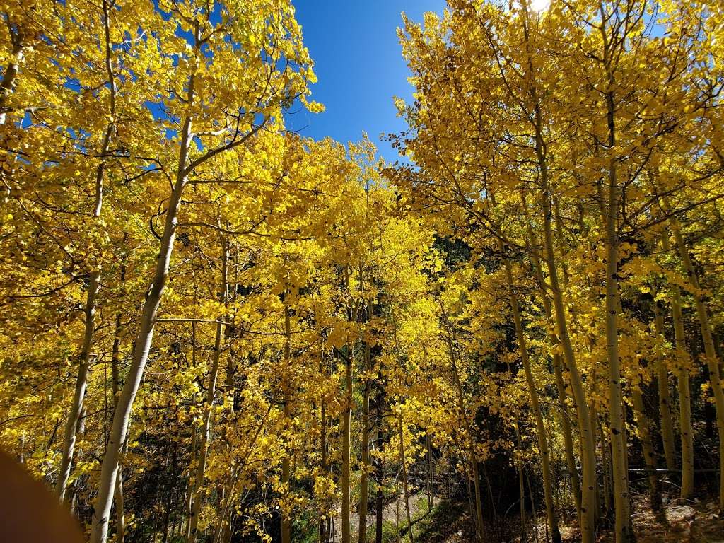 Silverdale Trailhead | 1967 Guanella Pass Rd, Georgetown, CO 80444, USA