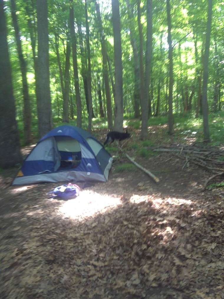 National Park Service - Delaware River - Walters - Campsite # 10 | East Stroudsburg, PA 18301, USA