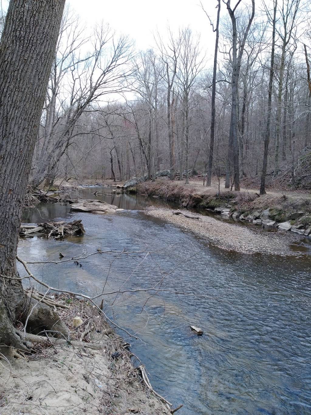 Rock Creek Park Grove #8 | 38.971675,-77.041831, Washington, DC 20012, USA | Phone: (202) 895-6070