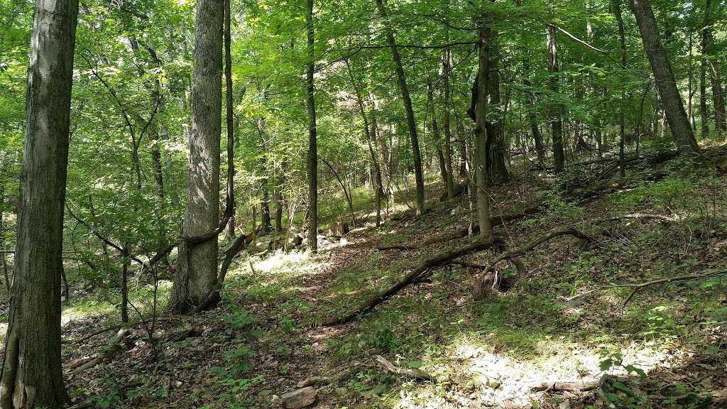 Old Farm Sanctuary | Petersburg Rd, Hackettstown, NJ 07840, USA