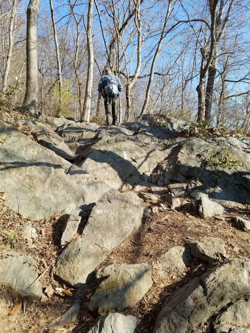 Victory Island Overlook | Billy Goat Trail Section C, Potomac, MD 20854, USA