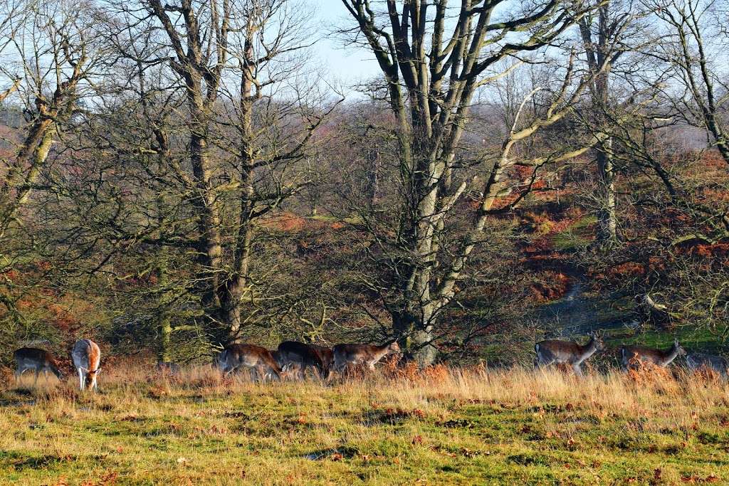 Knole Park Pedestrian Entrance Alpha | Unnamed Road, Sevenoaks TN15 0HU, UK