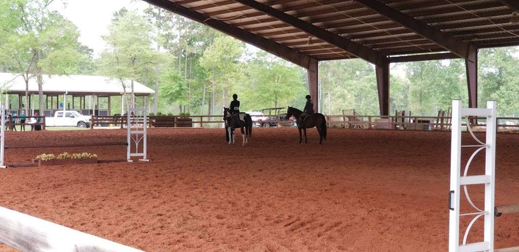 Edgebrook Equestrian | 3501 Jackson Rd, Montgomery, TX 77316, USA | Phone: (281) 814-7279