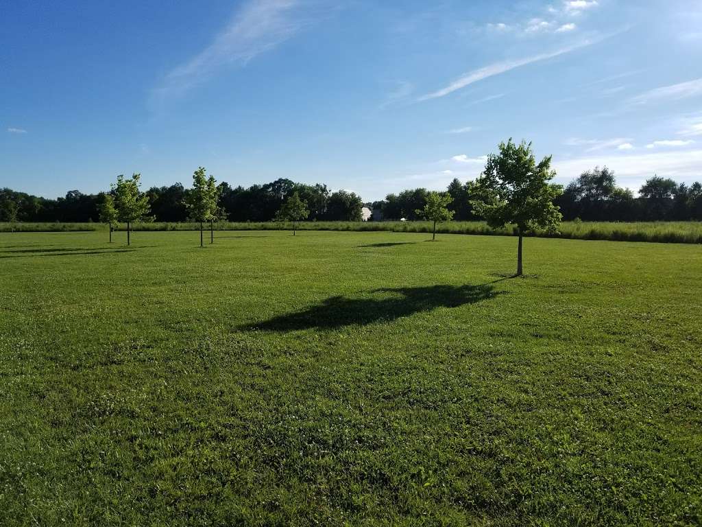 Dog Park at Hoffman Park | W Main St, Cary, IL 60013, USA | Phone: (847) 639-6100