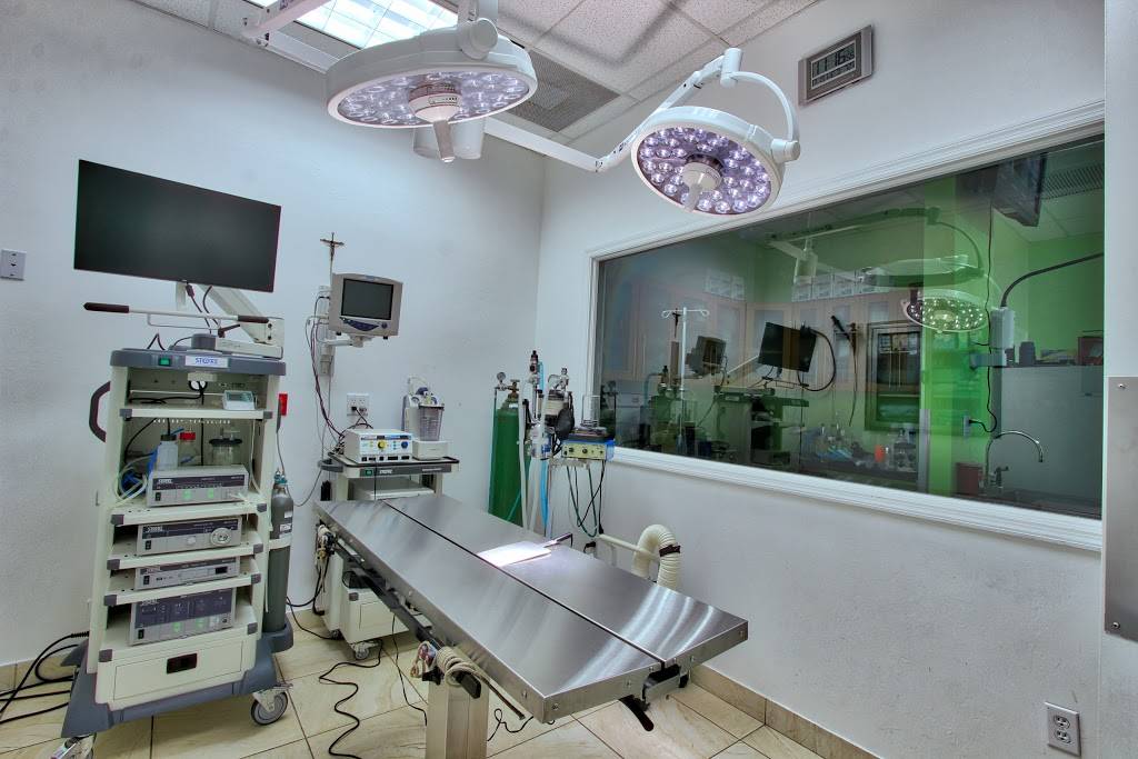 Animal Care and Surgical Hospital | 8376 SW 8th St, Miami, FL 33144, USA | Phone: (305) 264-8644