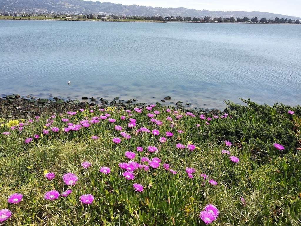 Shorebird Park Nature Center | 160 University Ave, Berkeley, CA 94710, USA | Phone: (510) 981-6720