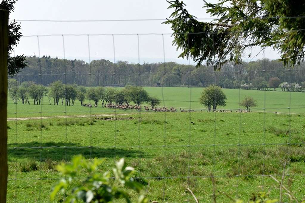 Otford Kent Circular Walk | Otford Rd, Sevenoaks TN14 5DP, UK