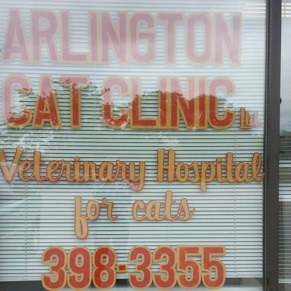 Arlington Cat Clinic | 841 N Wilke Rd, Arlington Heights, IL 60005, USA | Phone: (847) 398-3355