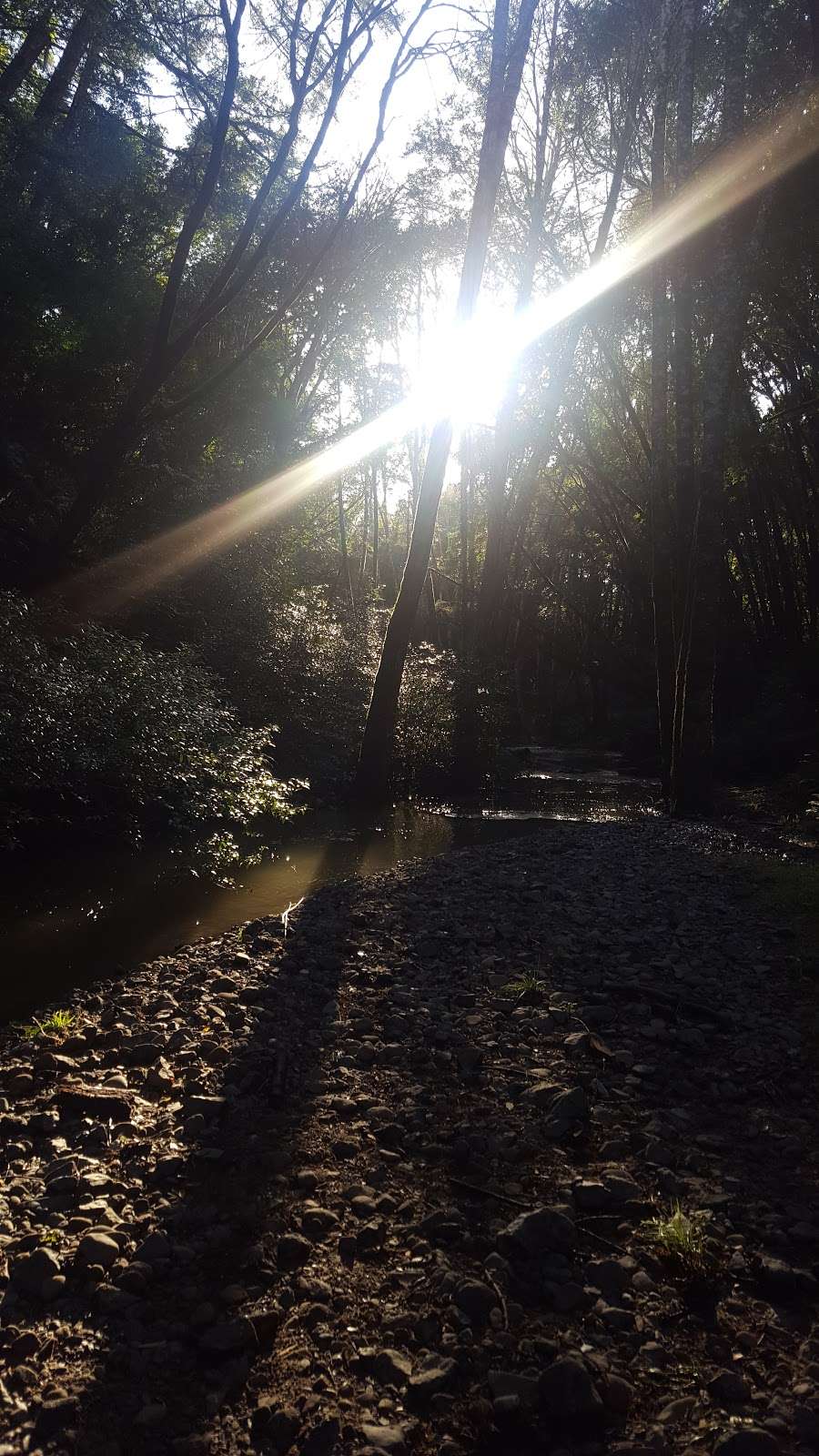 Devil’s Gulch Fire Road Trailhead | Devils Gulch Fire Rd, Nicasio, CA 94946, USA