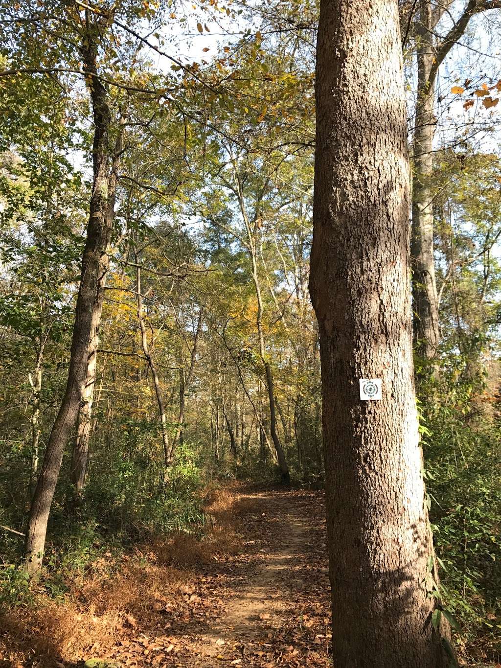 South Fork Trail and Blueway Access | 119 Willow Dr, Gastonia, NC 28056, USA