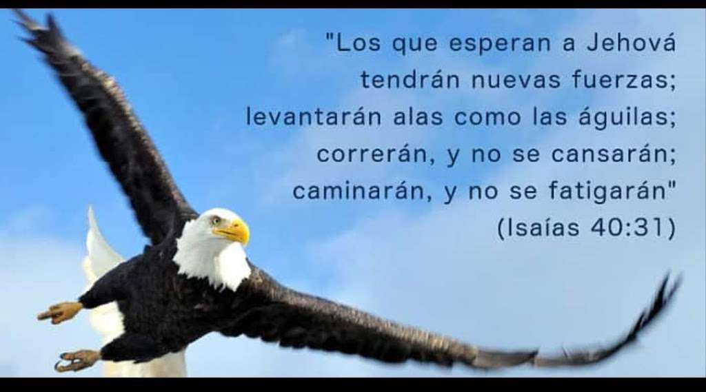 Ministerio Hiddekel Inc. | 32387 Yucaipa Blvd suite e, Yucaipa, CA 92399, USA | Phone: (909) 790-7774