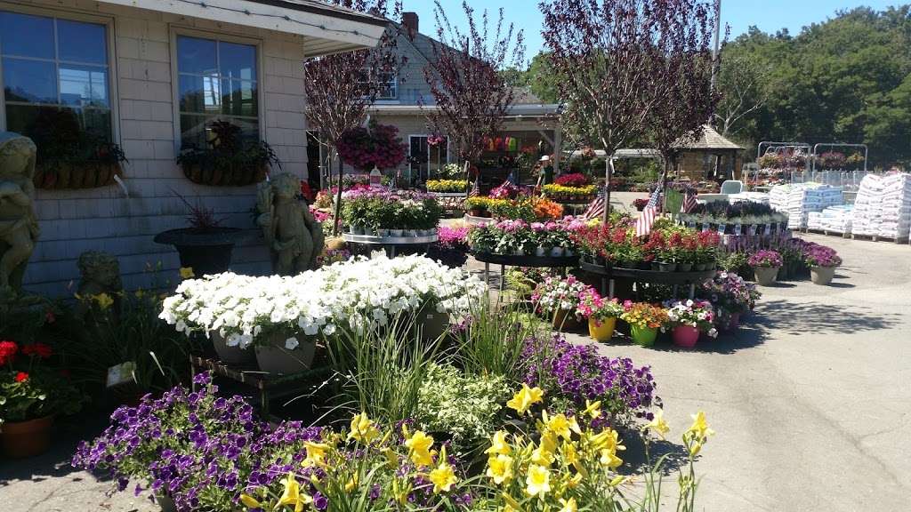 Northeast Nursery Garden Center | 234 Newbury St, Peabody, MA 01960, USA | Phone: (978) 535-6550