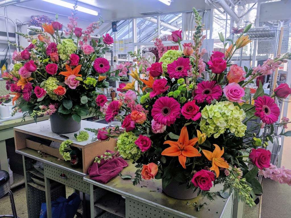 Edwards Florist, Inc. (Winnetka) | 917 Willow Rd, Winnetka, IL 60093, USA | Phone: (847) 446-8220