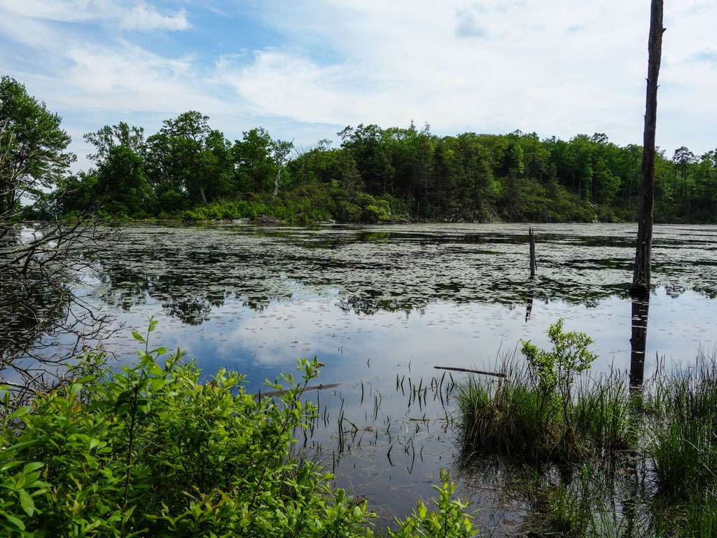 Beaver Pond | Appalachian Trail, Newton, NJ 07860, USA