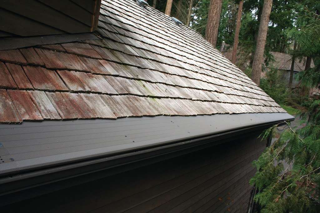 Gutter Helmet of Eastern Shore | 2020 Windsor Dr Suite G2, Salisbury, MD 21801, USA | Phone: (800) 550-7780