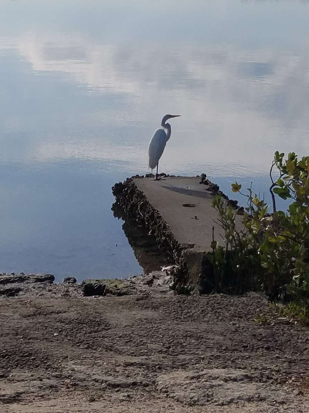 Swoop Site Boat Ramp | 2455 Boat Ramp Dr, New Smyrna Beach, FL 32168, USA | Phone: (386) 424-2175