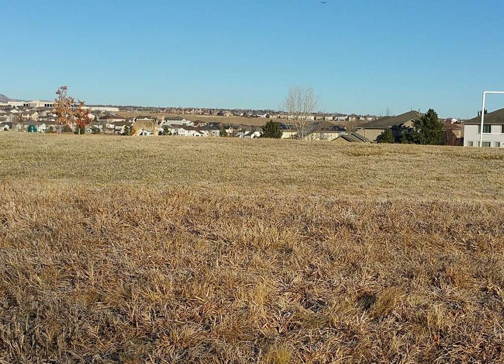 Hogback Hill Park | 8892 W Trailmark Pkwy, Littleton, CO 80127, USA | Phone: (303) 953-7644