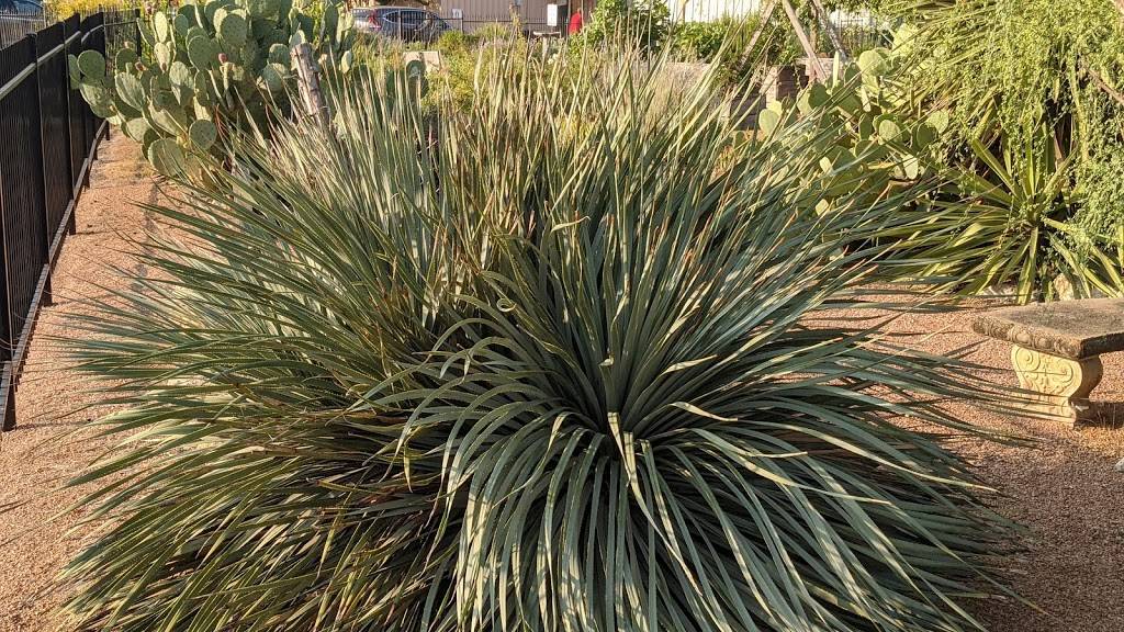 Tarrant County Master Gardeners Community Demonstration Garden | 1801 Circle Dr, Fort Worth, TX 76119, USA | Phone: (817) 884-1944