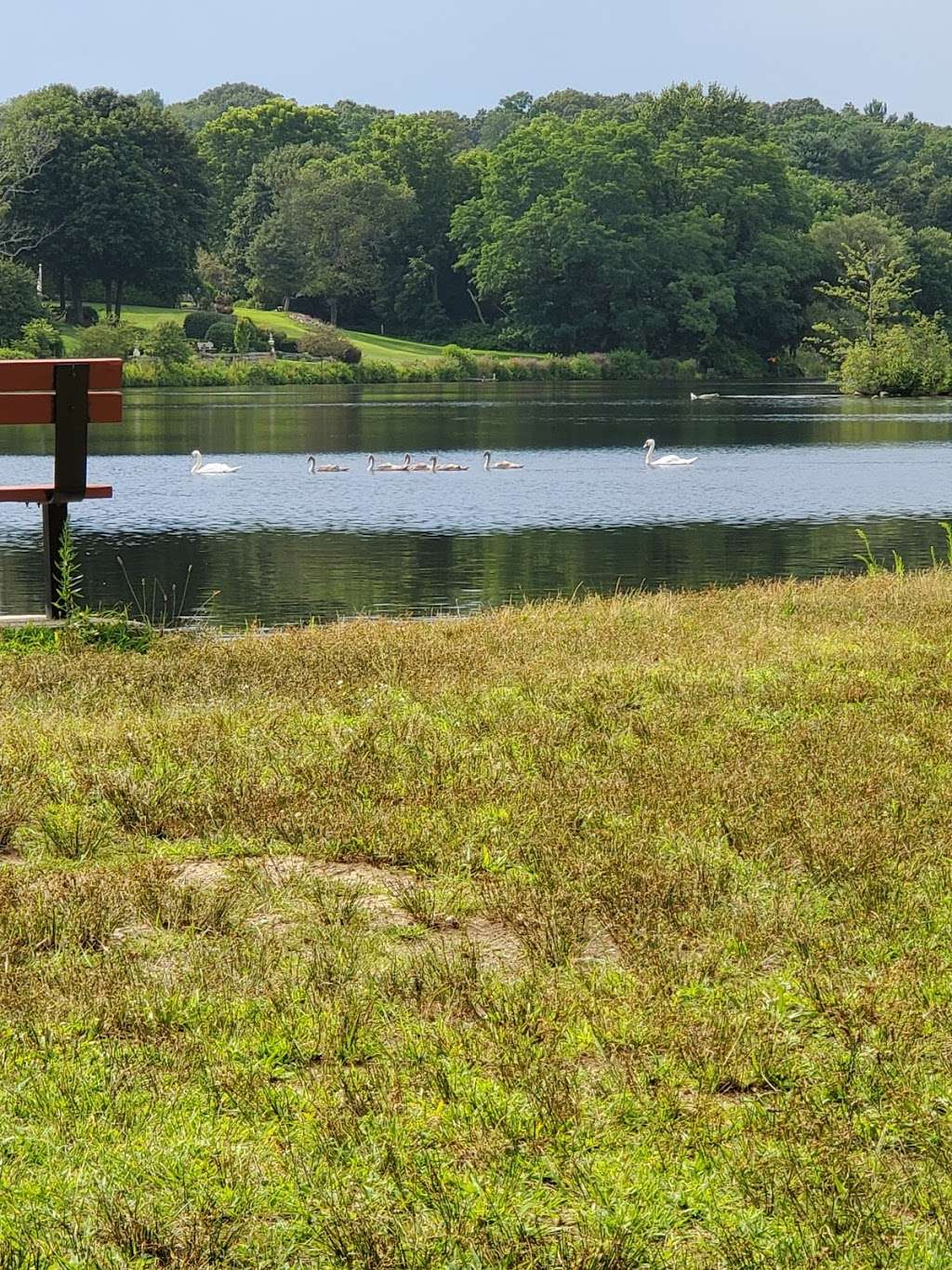 Louisa Lake Park | Milford, MA 01757, USA