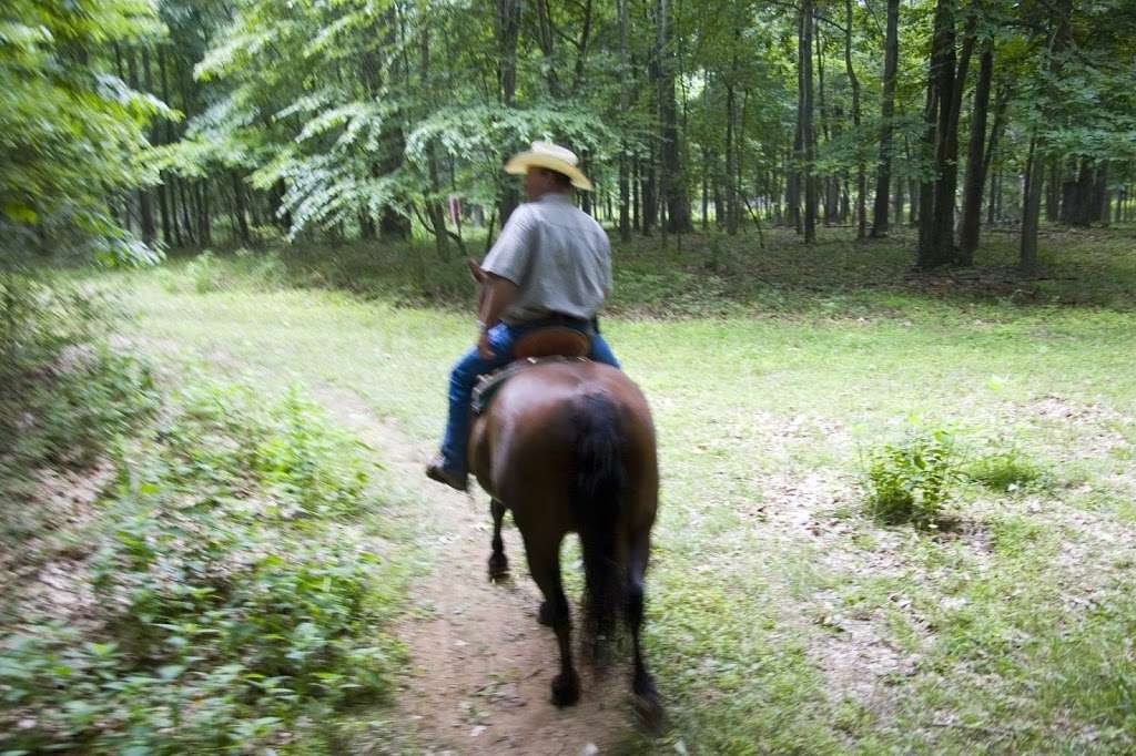 Marriott Ranch Trail Rides | 4439 Fiery Run Rd, Linden, VA 22642, USA | Phone: (540) 364-3741